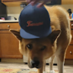 Meet your Posher, Deroyale